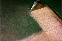 Steamaster Carpet Cleaning Inc. is certified to clean all types of indoor and outdoor carpets. Pricing is done by the square foot, and our technicians will measure all designated areas and give you an exact price before they begin the work. Alternatively, we will give you an estimate over the phone based upon your approximate measurements. You may choose to add any additional services you would like at any time.